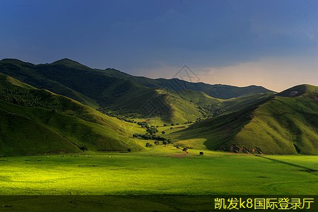 中式服装定制的色彩搭配技巧