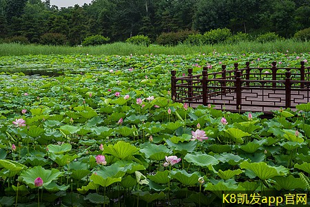 中式服装定制的流行元素